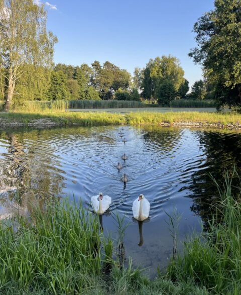 „Nasza wieś – naszą wspólną sprawą!” – podsumowanie projektu w Zgorzelcu